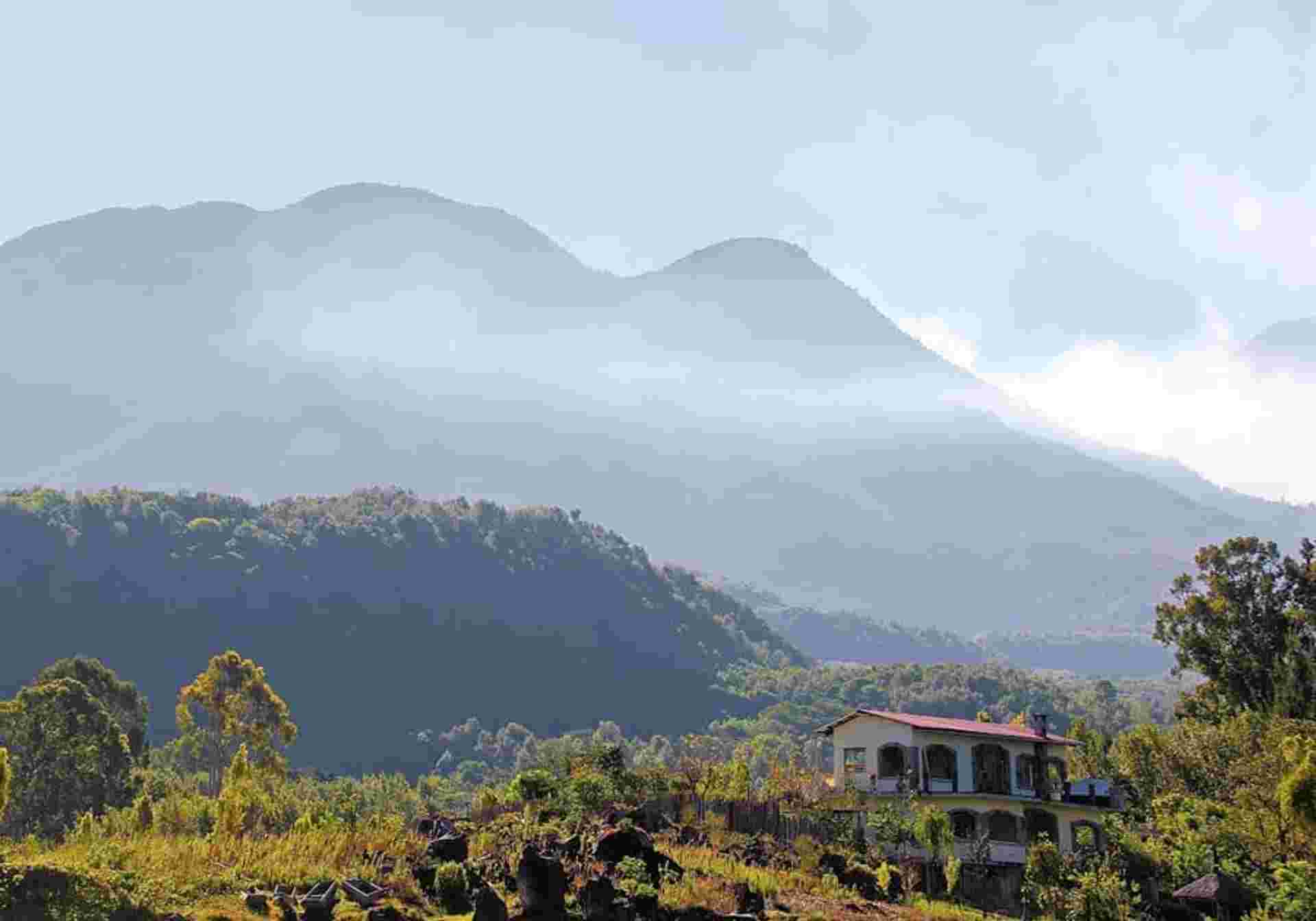 The Guatemala Express
