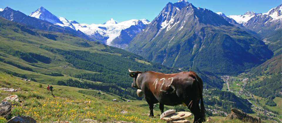 The Haute Route - Walkers' Britain - Switzerland - Image 5