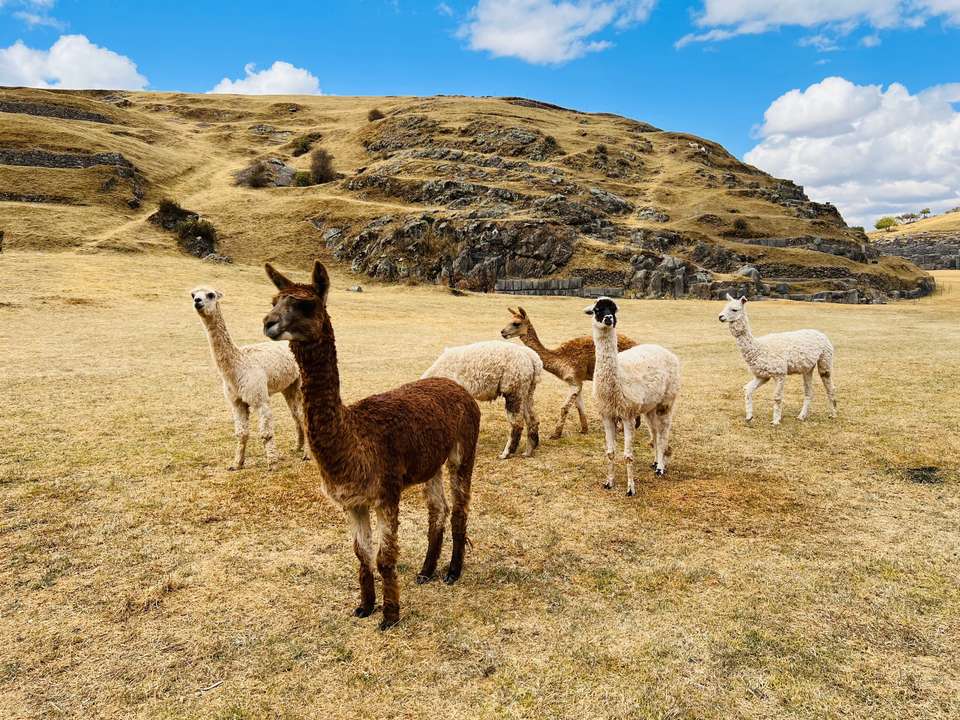 The Inca Trail - Exodus Adventure Travels - Peru