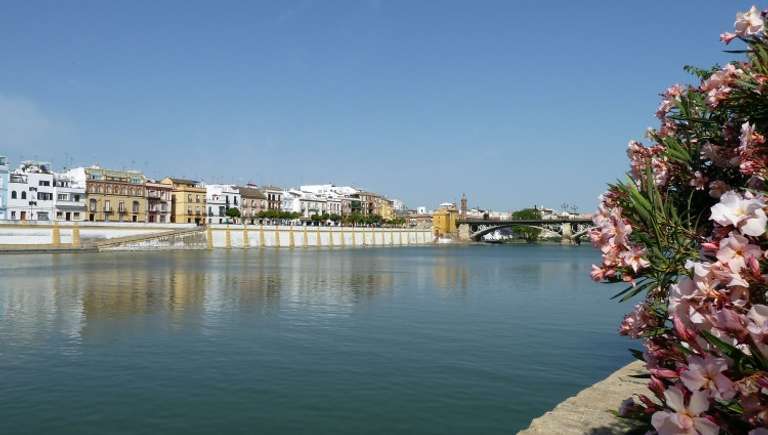 The Jamón Ibérico Route and the Pueblos Blancos - Amazing Andalusia: Enchanting Traditional Architecture and Fabulous Cuisine (port-to-port cruise) trip - alternative tour available