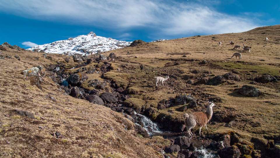 The Lares Trek - G Adventures - Peru - Image 9
