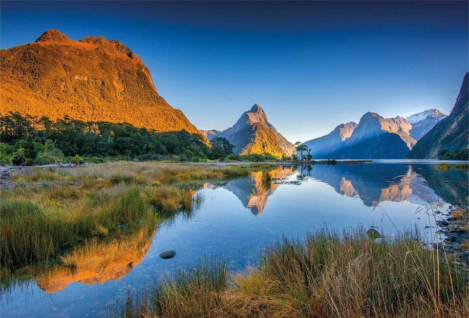 The Long White Cloud - Luxury Gold - New Zealand - Image 5