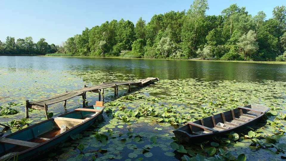 The majestic Danube, the authentic Sava and Lake Balaton (port-to-port cruise) - Croisieurope - Hungary - Image 6