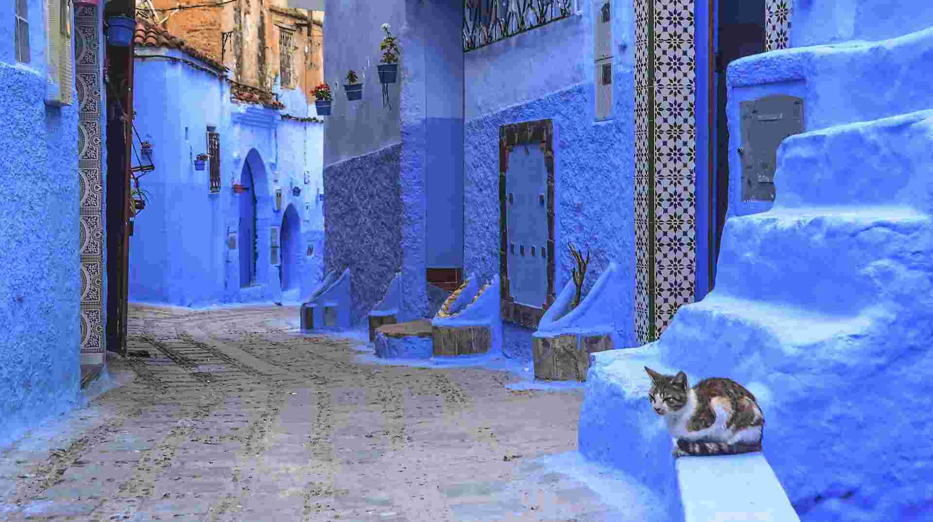 The Marrakesh Express: Hippie Tour