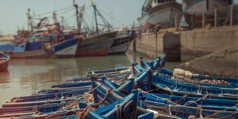 Morocco: Marrakech And The Coast - 8 Days