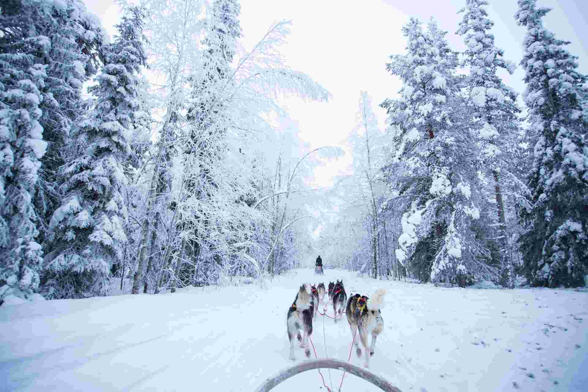 The Northern Lights of Finland 