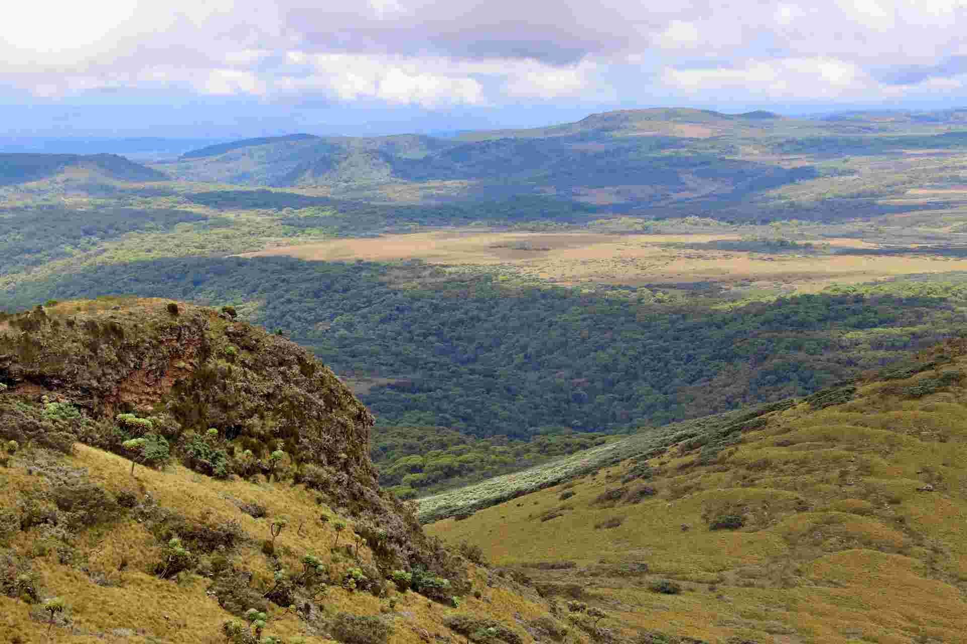 The Plains of Africa Kenya Wildlife Safari