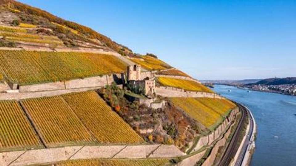 The Rhine Gone Wild : A lively cruise filled with legends, flavors, and good cheer (port-to-port cruise) - Croisieurope - France - Image 3