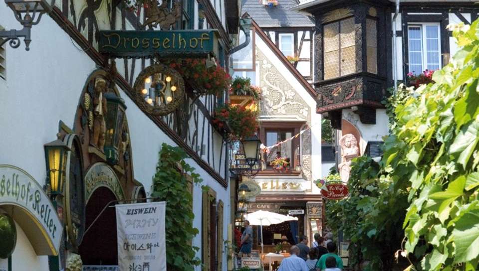 The romantic Rhine valley and Holland (port-to-port cruise) - Croisieurope - France