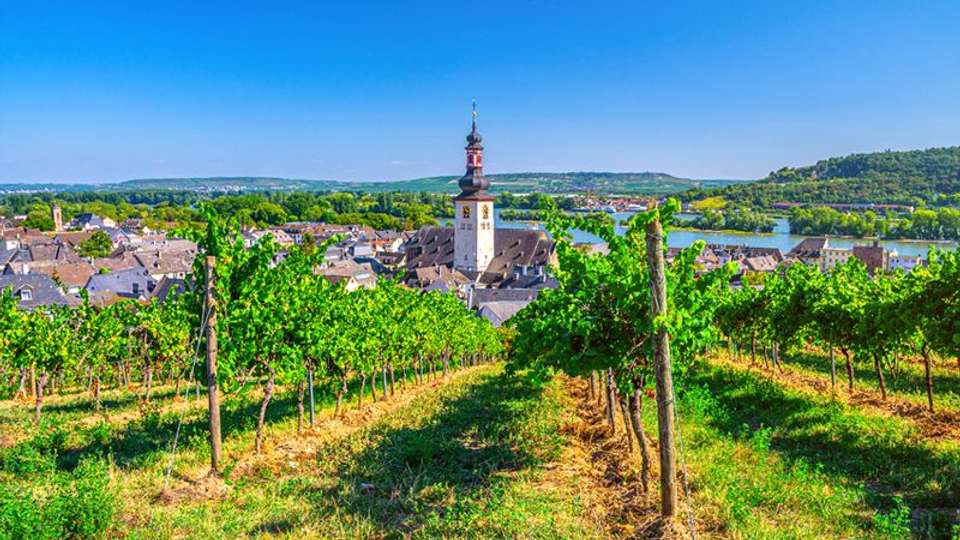 The romantic Rhine Valley and the rock of the Lorelei (port-to-port cruise) - Tweet World Travel - France - Image 2