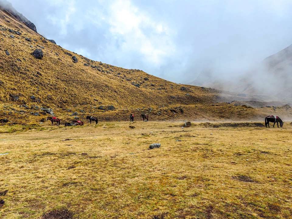 The Inca Trail & Salkantay Trek - Exodus Adventure Travels - Peru - Image 8