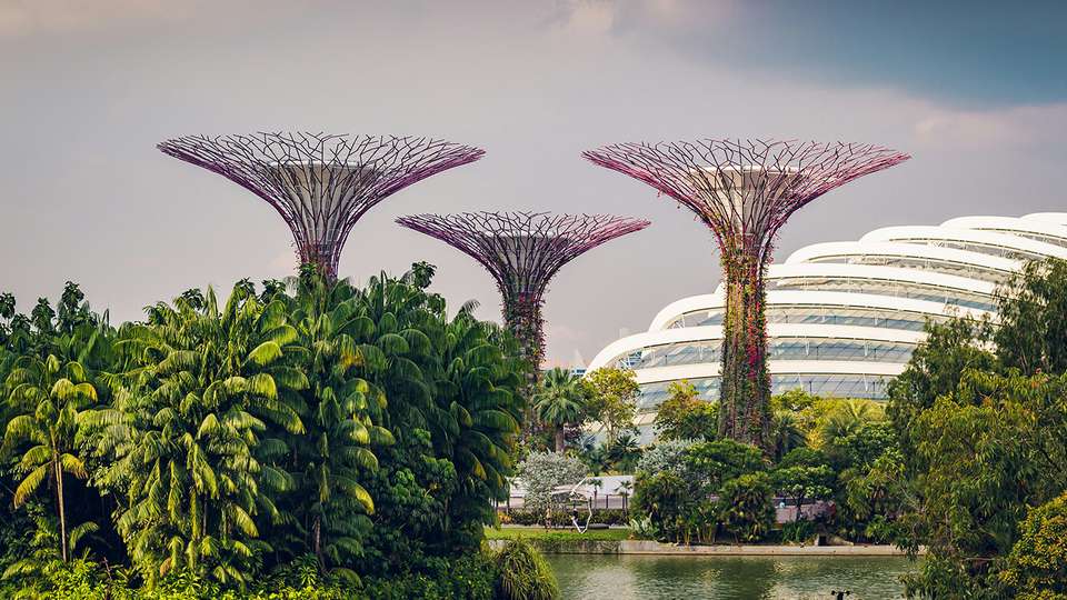 The Soul of Southeast Asia: Singapore, Malaysia & Thailand - undefined - Image 5