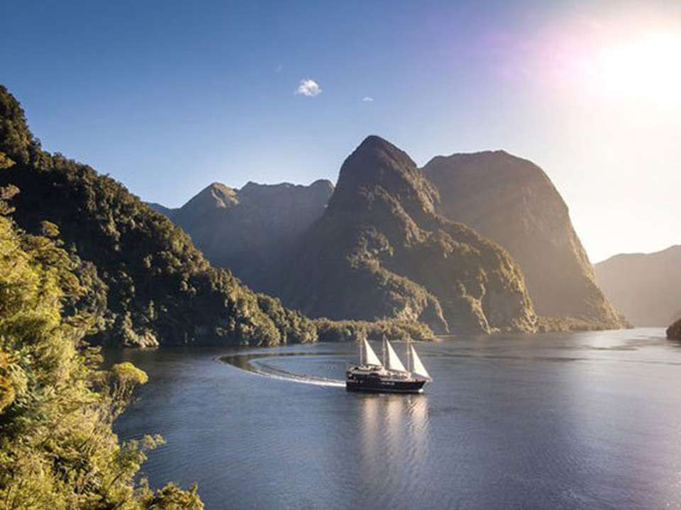 The Southern Drift - Luxury Gold - New Zealand - Image 5