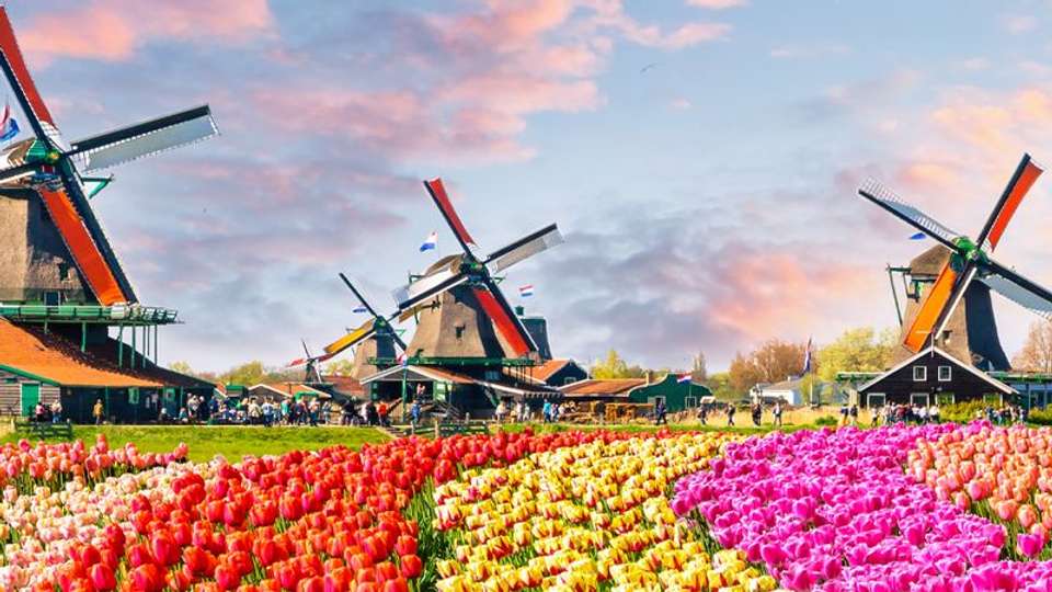 The Treasures of North - Through two extraordinary countries: Belgium and The Netherlands - Tweet World Travel - Belgium - Image 5