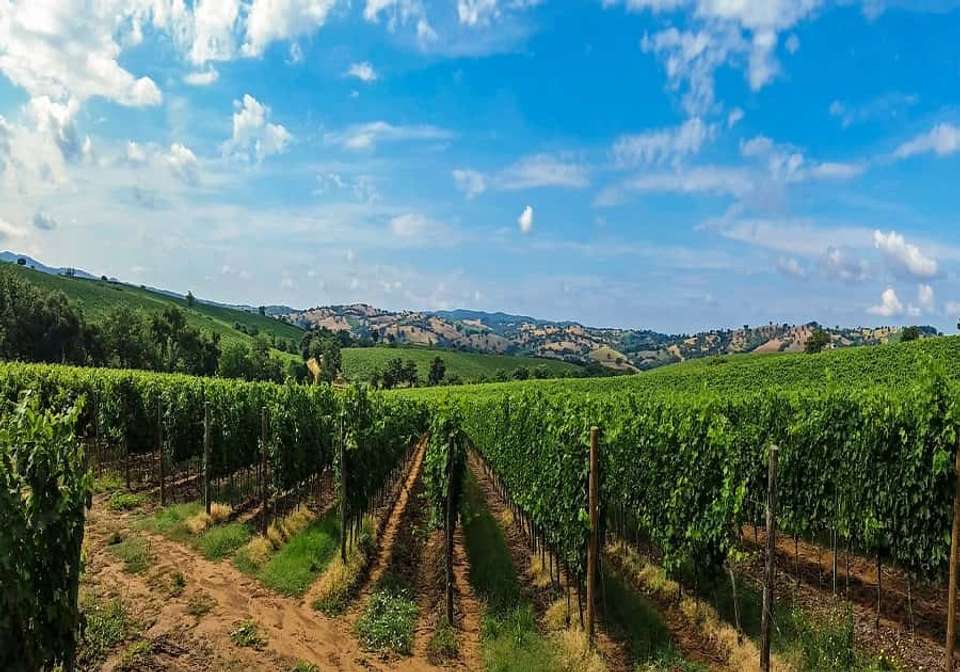 The Tuscan Dream Self-Drive - Indus Travels - Italy - Image 3
