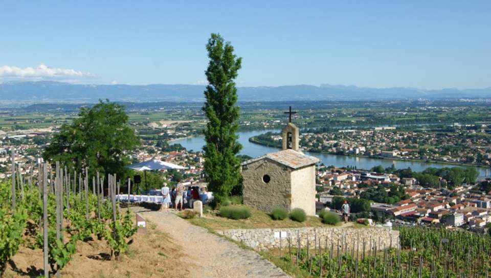 The Valleys of the Rhône and Saône: Gastronomy and vineyards (port-to-port cruise) - Croisieurope - France - Image 2