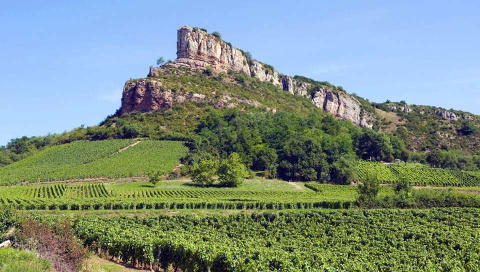The Valleys of the Rhône and Saône: Gastronomy and vineyards (port-to-port cruise) - Croisieurope - France - Image 4