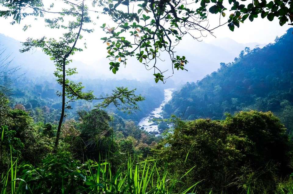 The Vivid Green Of Sri Lanka, Private Tour - Destination Services - Sri Lanka - Image 4