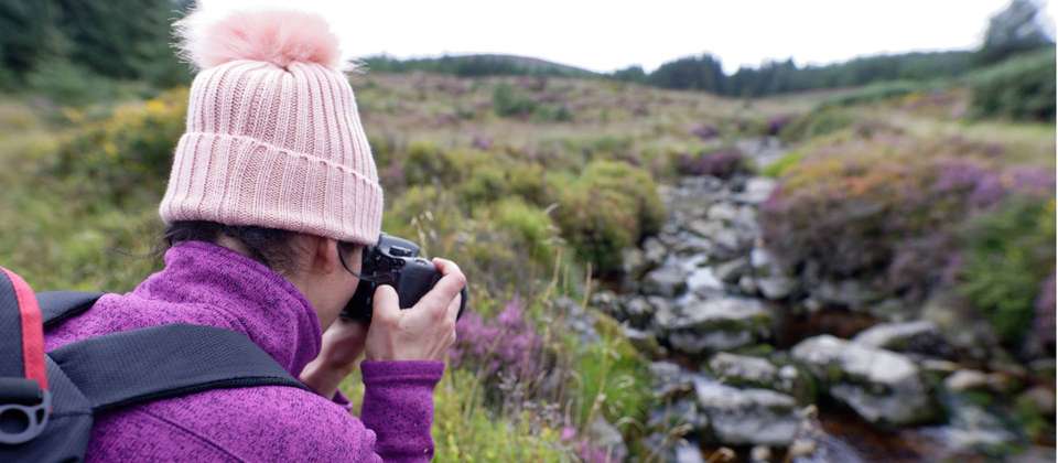The Wicklow Way - 9 Days - Walkers' Britain - Ireland - Image 4