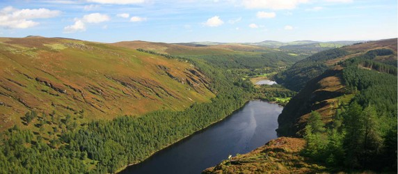 Image 4 of 8