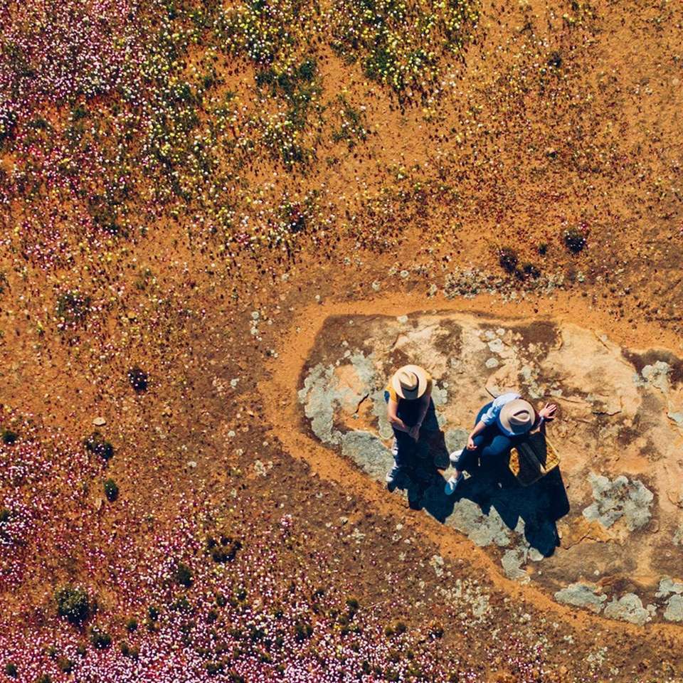 The Wildflower Wanderer - Aat Kings - Australia - Image 5
