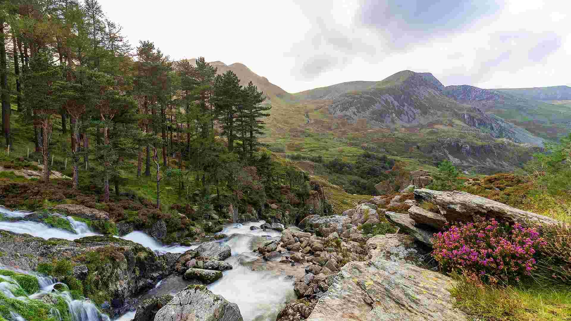 The Wonders of Wales