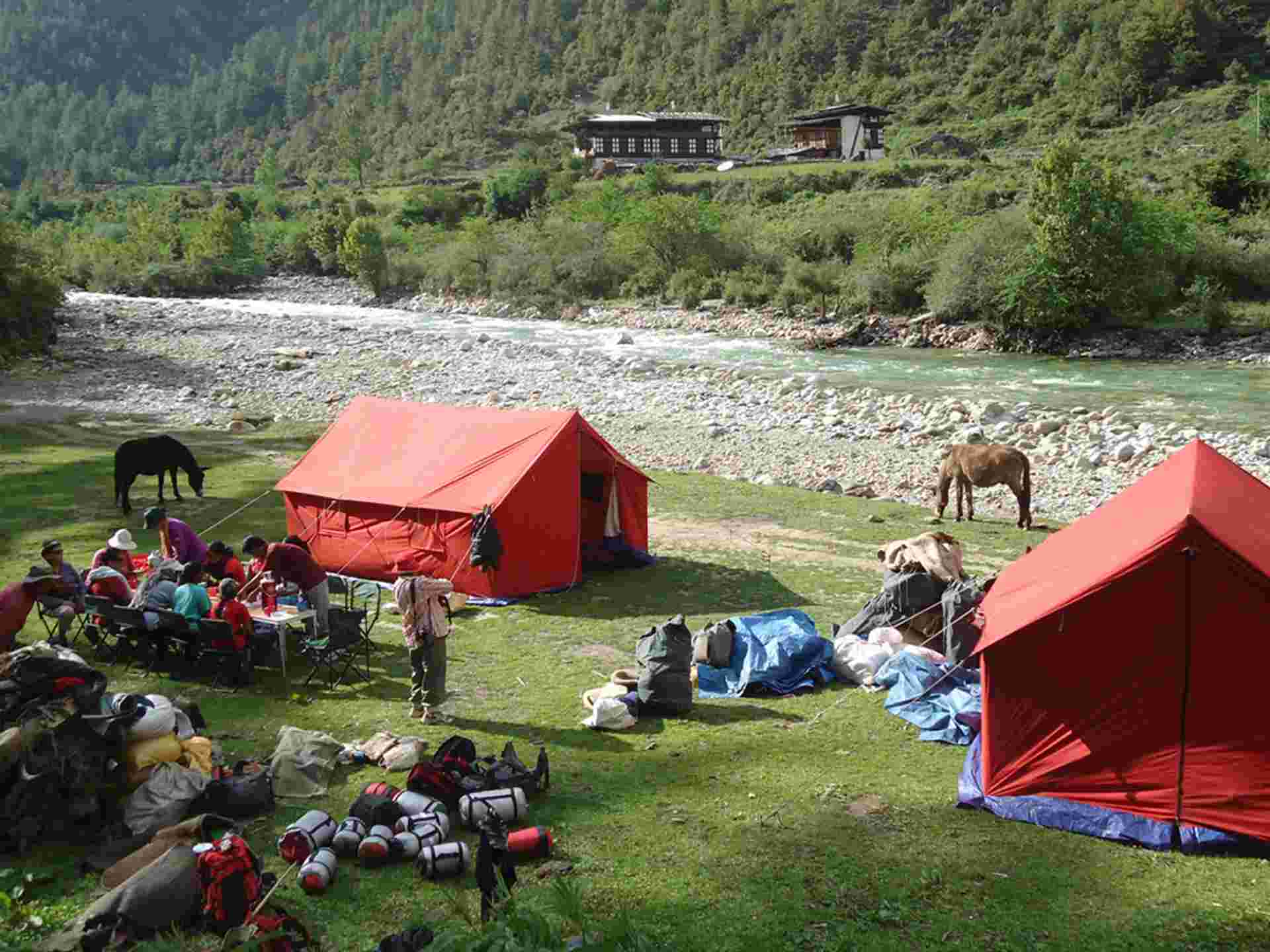 Thimphu Festival - 8 days