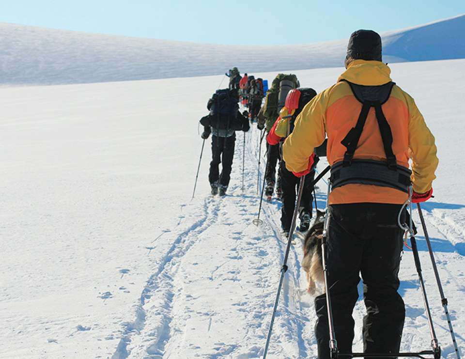 Three Arctic Islands: Spitsbergen, Greenland and Iceland (Southbound) - Intrepid Travel - Finland - Image 2