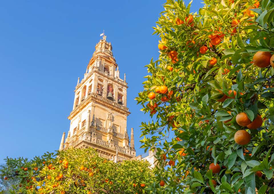 Three Cities of Andalucia - Exodus Adventure Travels - Spain - Image 3