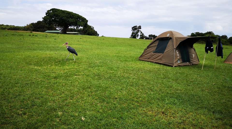 Three-Day Safari: Serengeti & Ngorongoro - Kilisa Tours & Safaris - Tanzania - Image 2