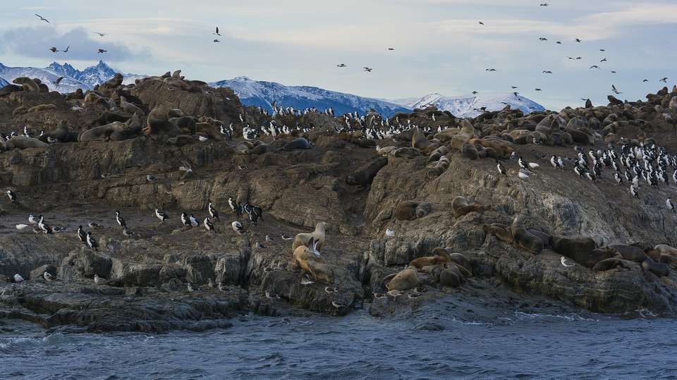 Three Nights in Ushuaia - Ripioturismo - Argentina