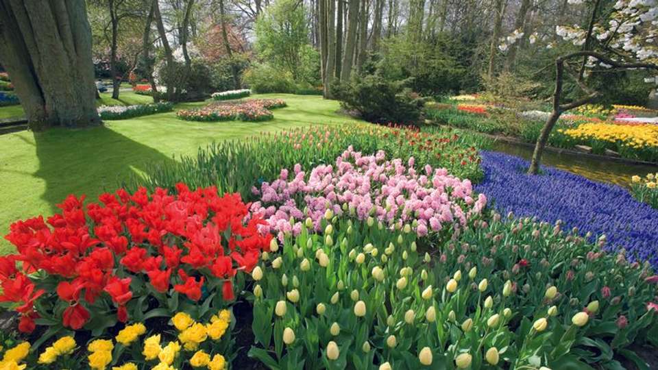 Through authentic Holland (port-to-port cruise) - Tweet World Travel - Holland - Image 3