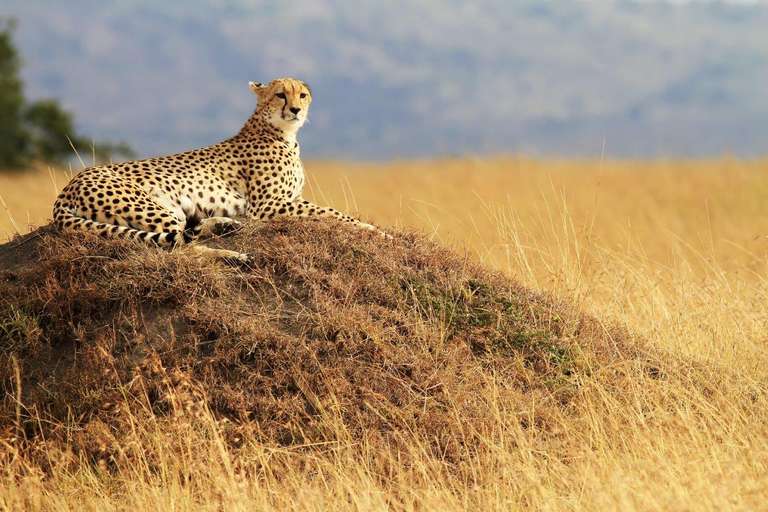 Through The Rift Valley, Keekorok Lodges - 5 days