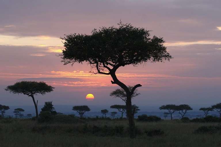 Kenya Getaways and short breaks Tour: Through The Rift Valley, Zebra Plains - Private Tour
