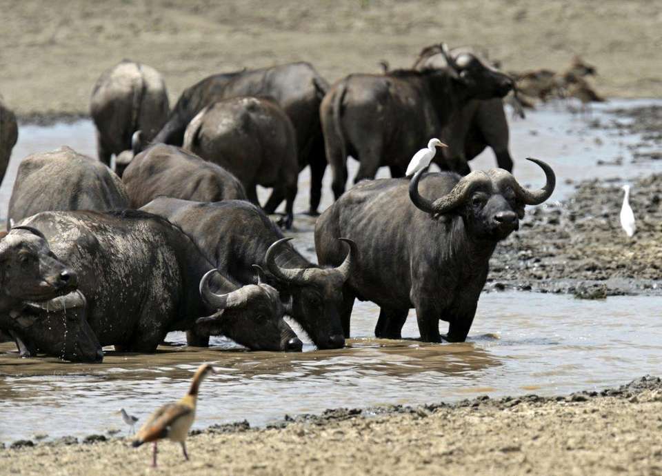 Through The Rift Valley, Sentrim Lodges - Private Tour - Destination Services - Kenya - Image 3
