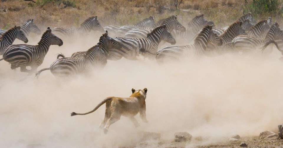 Through The Rift Valley, Serena Lodges - Destination Services - Kenya - Image 1