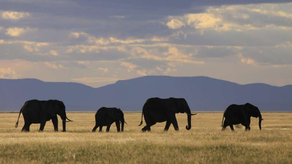 Through The Rift Valley, Serena Lodges - Destination Services - Kenya - Image 3