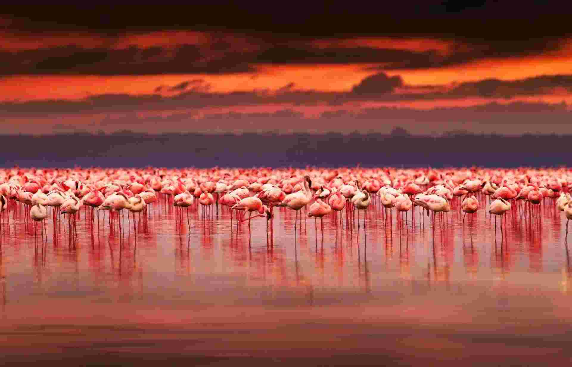 Through The Rift Valley, Sopa Lodges - Private Tour