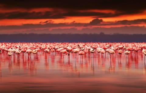 Through The Rift Valley, Sopa Lodges - Private Tour - Spring Tours