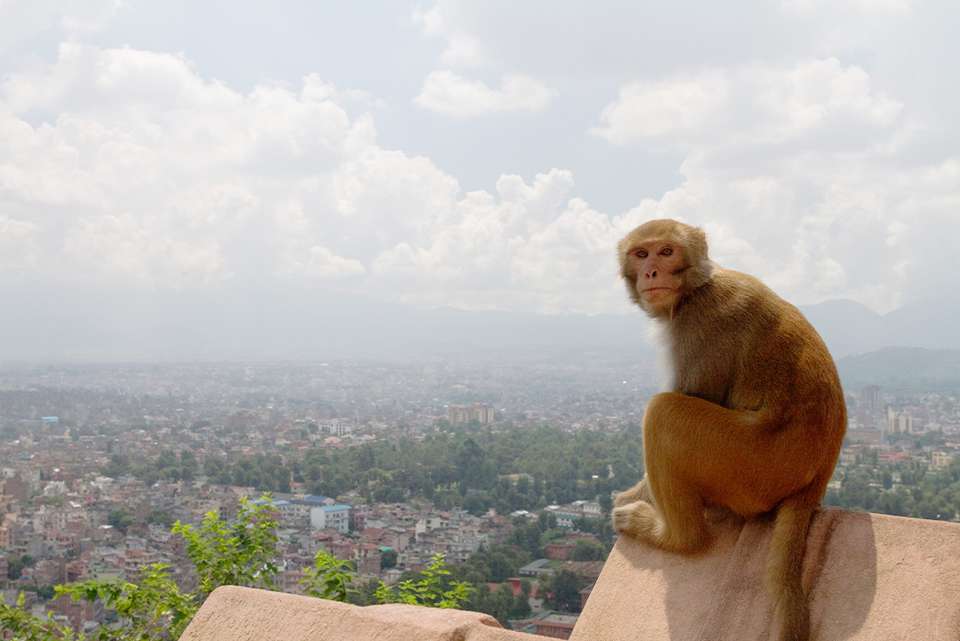 Tibet: Beijing to Kathmandu Overland - Intrepid Travel - China - Image 14