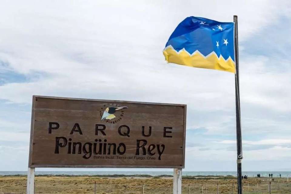 Tierra del Fuego & the King Penguins Experience - Tangol Tours - Chile - Image 5