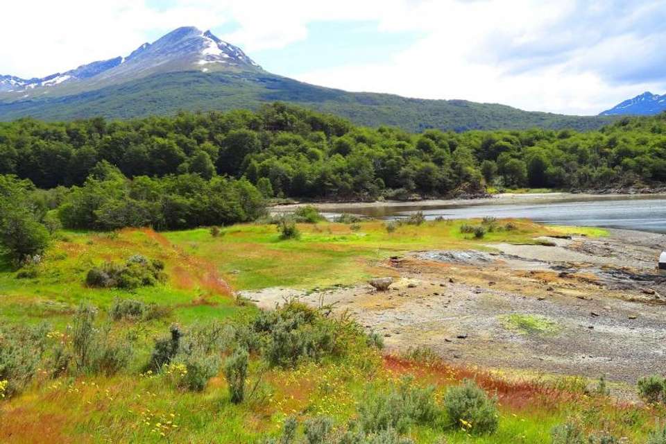 Tierra Del Fuego National Park - Tangol Tours - Argentina - Image 3