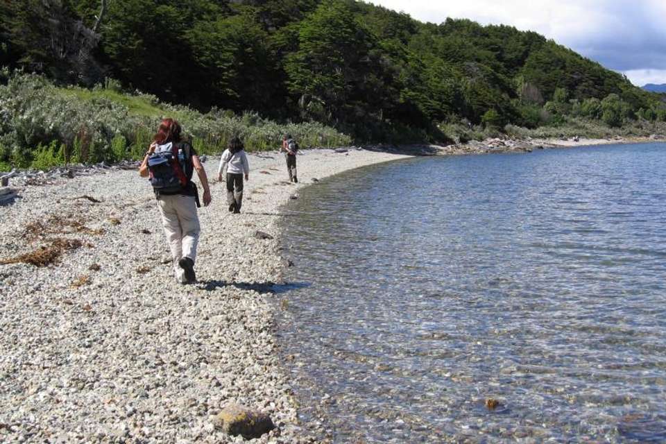Tierra Del Fuego National Park & Train of the end of the world - Tangol Tours - Argentina - Image 3