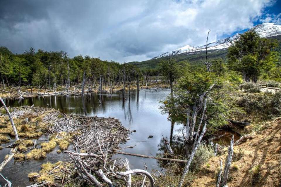 Tierra Del Fuego National Park with Lunch - Tangol Tours - Argentina