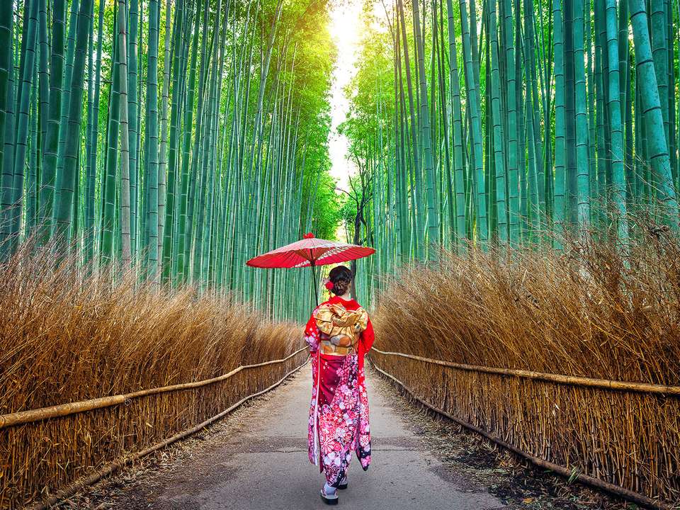 Timeless Japan - 13 days - On The Go Tours - Japan - Image 5