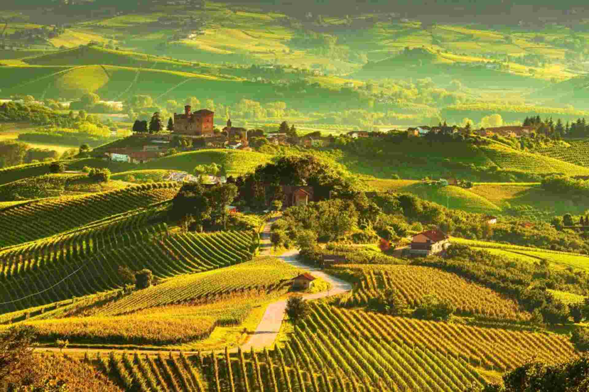 Timeless Tuscany: A Tuscan Villa Experience