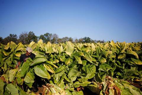 Tobacco Route From Salta - Spring Tours