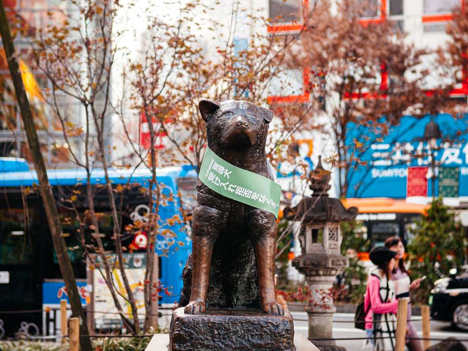 Tokyo Anime Adventure - 7 days - On The Go Tours - Japan - Image 6