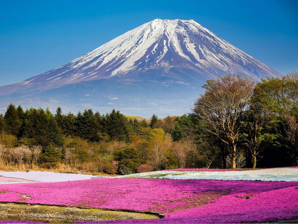 Tokyo, Kanazawa & Osaka - 10 days - On The Go Tours - Japan - Image 2