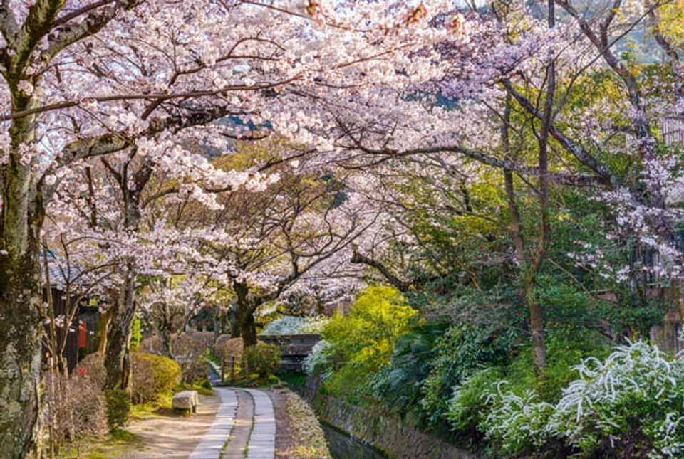 Tokyo, Kanazawa & Osaka - 10 days - On The Go Tours - Japan - Image 7